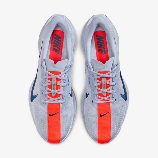 Nike Pegasus Plus