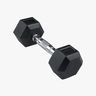 Gym Power Dumbbel