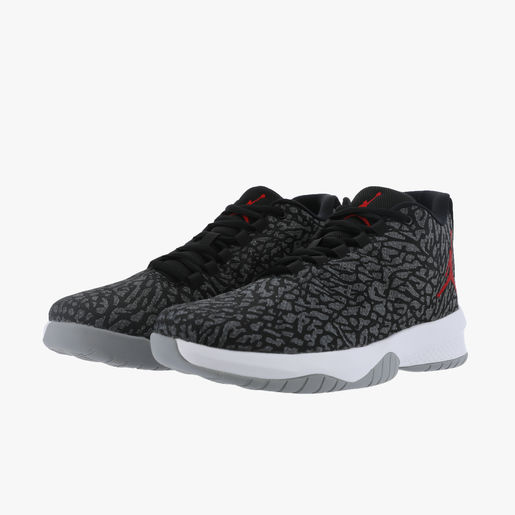 Jordan B. Fly