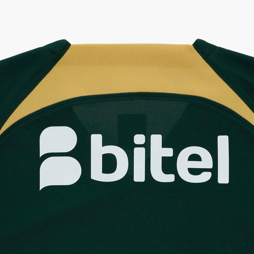 Nike Camiseta Estampada Alianza Lima 2024 Visita