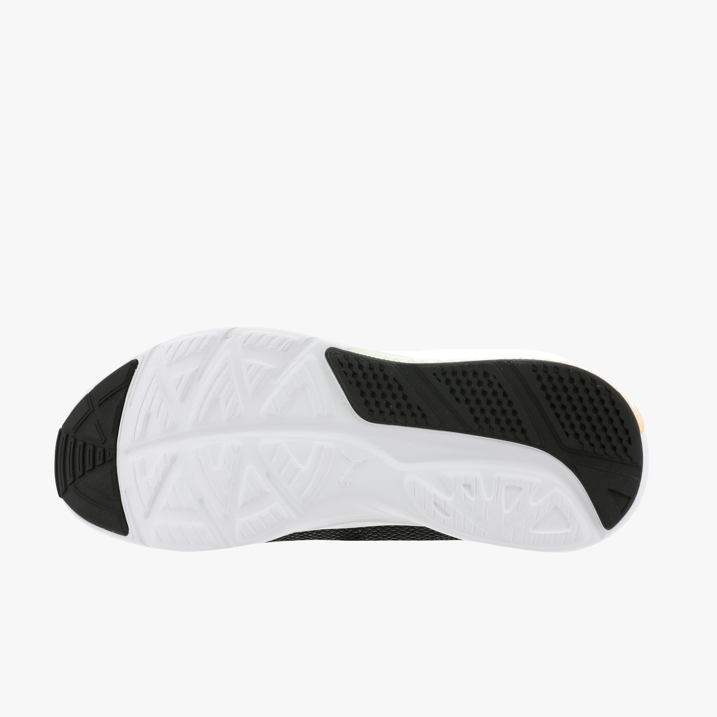 puma cell vive alt fade