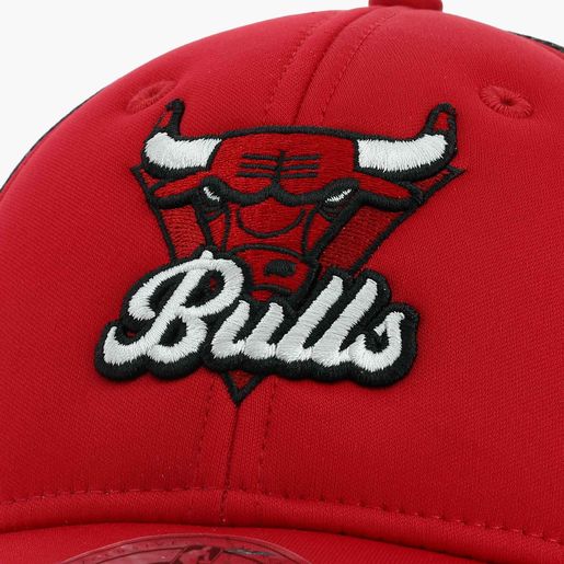 NBA Bulls