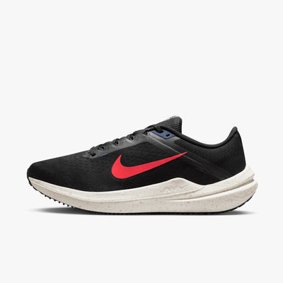 Nike Winflo 10