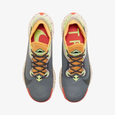Nike Pegasus Trail 2 GORE-TEX