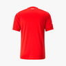 Puma Camiseta Local Suiza 2022