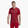 adidas Entrada 22 Graphic
