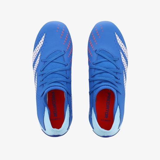 adidas Predator Accuracy.3 césped natural seco