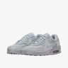Nike Air Max 90 365