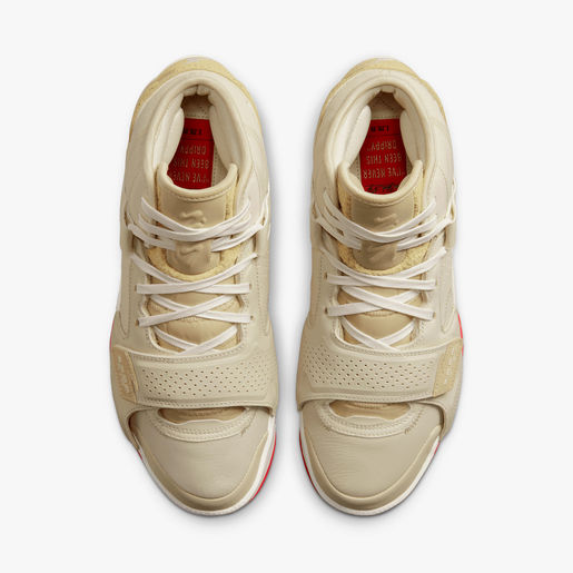 Jordan Zion 2
