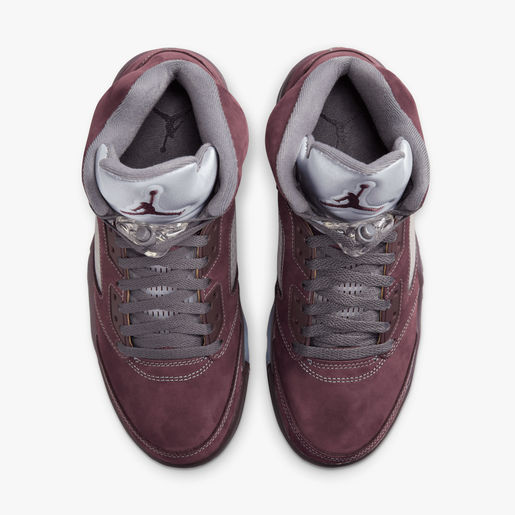 Air Jordan 5 Retro SE