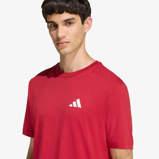 adidas Camiseta Graphic Outdoor Mountain Biking