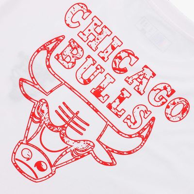 NBA Chicago Bulls