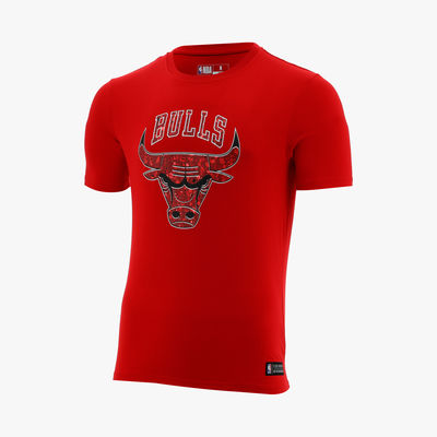 NBA Chicago Bulls