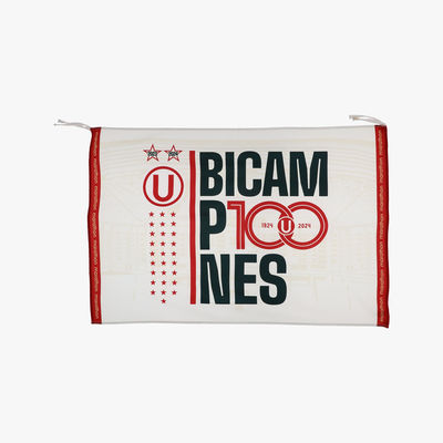 Banderola Universitario Bicamp100nes