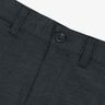 Quiksilver Short Essential