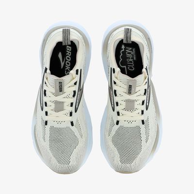 Brooks Glycerin Stealthfit 21