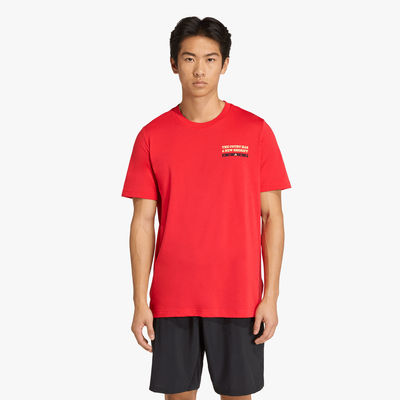 adidas Camiseta Graphic Wanted