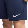 Nike Dri-FIT Park 3