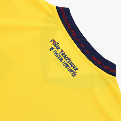 Camiseta Hincha FEF Mundial 2026