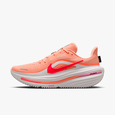 Nike Zapatos Winflo 12