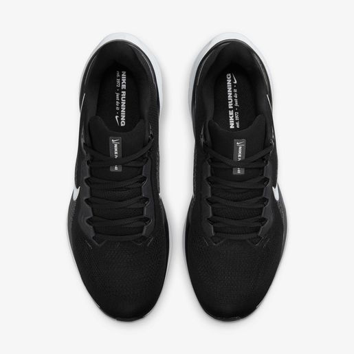 Nike Pegasus 41