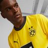 Puma Camiseta Borussia Dortmund Local 23/24
