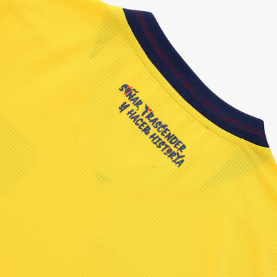 Camiseta Hincha FEF Mundial 2026