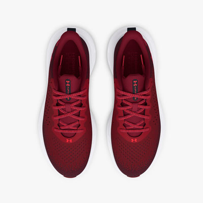 Under Armour Zapatilla Infinite