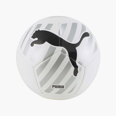 Puma Big Cat