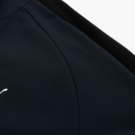 Puma Poly