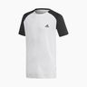 Adidas Club