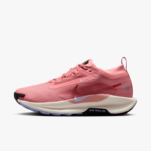 Nike Pegasus Trail 5 GORE-TEX