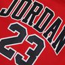 Jordan Fleece Pullover Hoodie