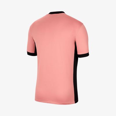 Nike Paris Saint-Germain 2024/25 Stadium Third