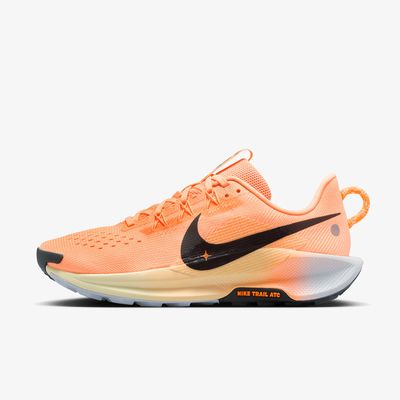 Nike Zapatos Pegasus Trail 5