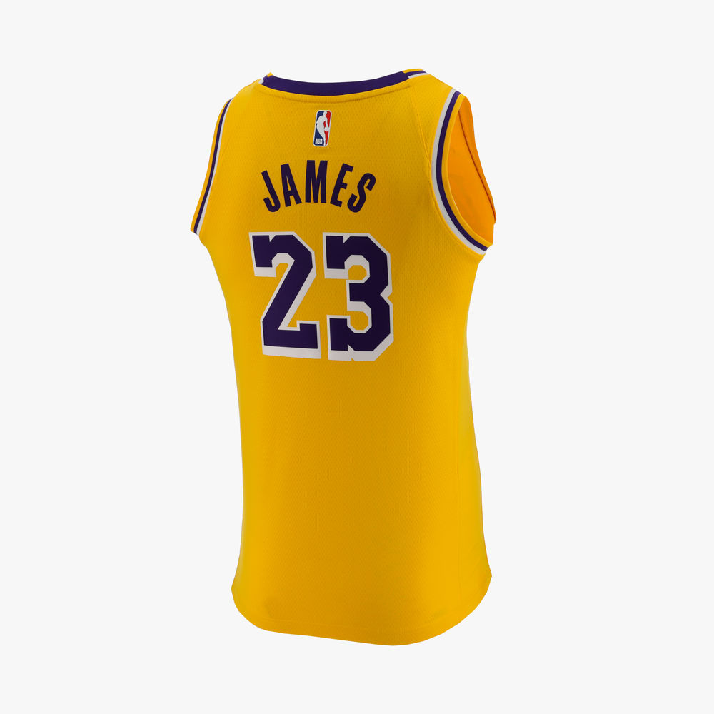 Nike NBA Connected LeBron James