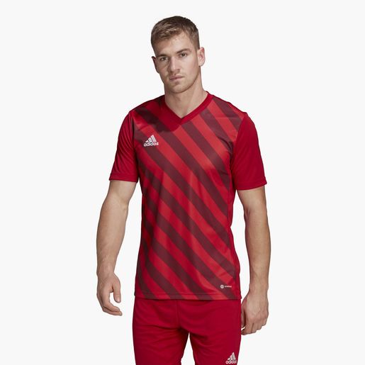 adidas Entrada 22 Graphic