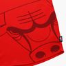 NBA Chicago Bulls