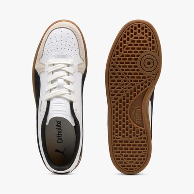 Puma Indoor