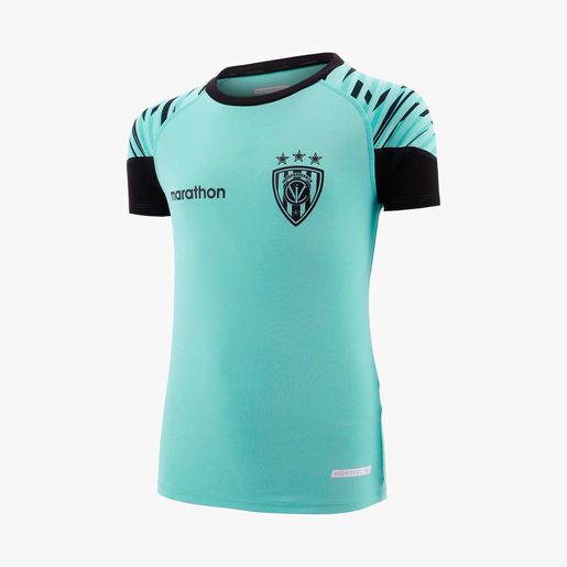 Camiseta Entrenamiento IDV 25