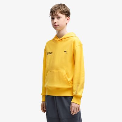 Puma Buzo Pokémon