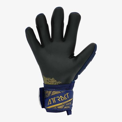 Reusch Attrakt Freegel