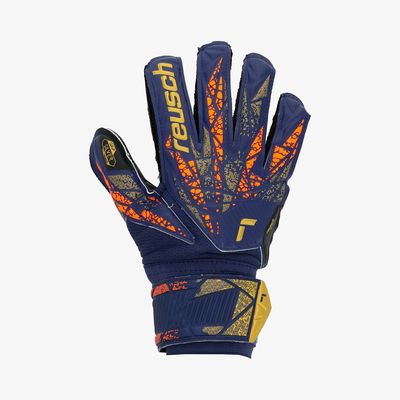 Reusch Attrakt Silver