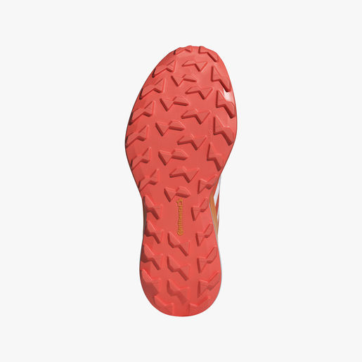 adidas Terrex Agravic 3