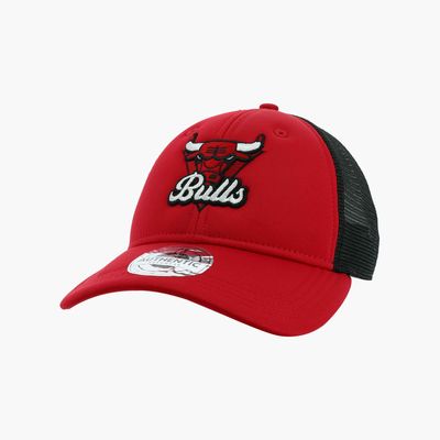 NBA Bulls